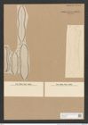 Surirella duplex L.W. (de-Toni-Nr.: Genus 53, Species 2296) Zeichnungen Sammlung Grunow Nr. 4744 (NHMW-BOT-W0372853)